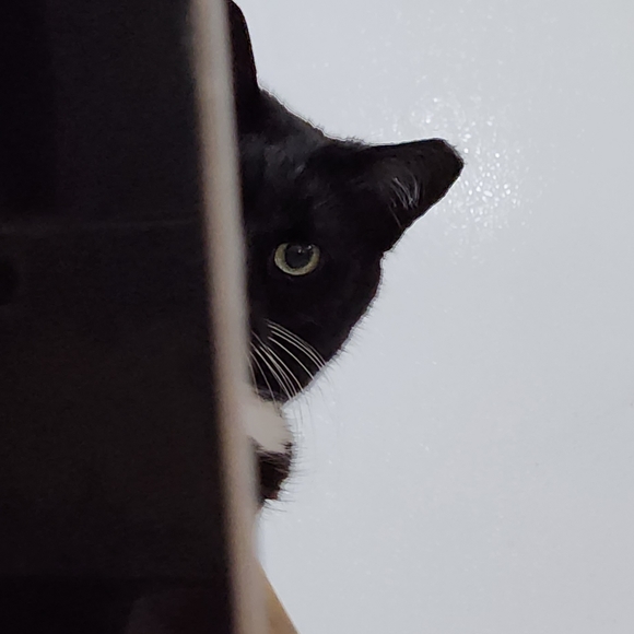 Hello! 💜💙💚 - Picture 6 of 16